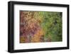 USA, Tennessee. Great Smoky Mountain National Park, Autumn reflections in Little River.-Joanne Wells-Framed Photographic Print
