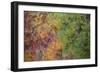 USA, Tennessee. Great Smoky Mountain National Park, Autumn reflections in Little River.-Joanne Wells-Framed Photographic Print