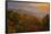 USA, Tennessee. Great Smoky Mountain National Park, trees and fog at sunrise.-Joanne Wells-Framed Stretched Canvas