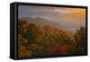 USA, Tennessee. Great Smoky Mountain National Park, trees and fog at sunrise.-Joanne Wells-Framed Stretched Canvas