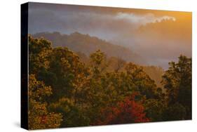 USA, Tennessee. Great Smoky Mountain National Park, trees and fog at sunrise.-Joanne Wells-Stretched Canvas