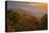 USA, Tennessee. Great Smoky Mountain National Park, trees and fog at sunrise.-Joanne Wells-Stretched Canvas