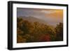 USA, Tennessee. Great Smoky Mountain National Park, trees and fog at sunrise.-Joanne Wells-Framed Photographic Print