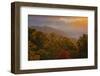 USA, Tennessee. Great Smoky Mountain National Park, trees and fog at sunrise.-Joanne Wells-Framed Photographic Print