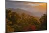 USA, Tennessee. Great Smoky Mountain National Park, trees and fog at sunrise.-Joanne Wells-Mounted Photographic Print