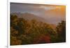 USA, Tennessee. Great Smoky Mountain National Park, trees and fog at sunrise.-Joanne Wells-Framed Photographic Print