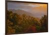 USA, Tennessee. Great Smoky Mountain National Park, trees and fog at sunrise.-Joanne Wells-Framed Photographic Print