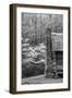 USA, Tennessee, Great Smoky Mountains National Park. Abandoned Cabin-Dennis Flaherty-Framed Photographic Print