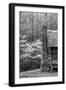 USA, Tennessee, Great Smoky Mountains National Park. Abandoned Cabin-Dennis Flaherty-Framed Photographic Print