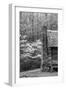 USA, Tennessee, Great Smoky Mountains National Park. Abandoned Cabin-Dennis Flaherty-Framed Photographic Print