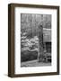 USA, Tennessee, Great Smoky Mountains National Park. Abandoned Cabin-Dennis Flaherty-Framed Photographic Print