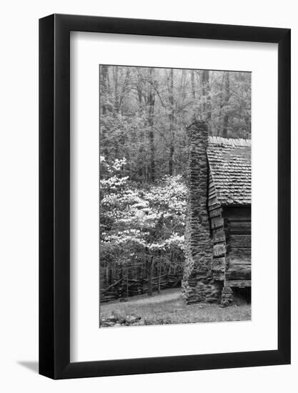 USA, Tennessee, Great Smoky Mountains National Park. Abandoned Cabin-Dennis Flaherty-Framed Photographic Print