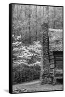 USA, Tennessee, Great Smoky Mountains National Park. Abandoned Cabin-Dennis Flaherty-Framed Stretched Canvas