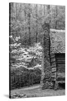 USA, Tennessee, Great Smoky Mountains National Park. Abandoned Cabin-Dennis Flaherty-Stretched Canvas