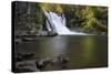 USA, Tennessee, Great Smoky Mountains National Park. Abrams Falls Landscape-Jaynes Gallery-Stretched Canvas