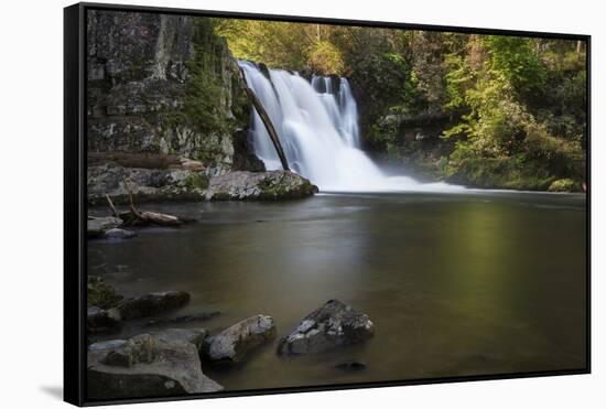 USA, Tennessee, Great Smoky Mountains National Park. Abrams Falls Landscape-Jaynes Gallery-Framed Stretched Canvas