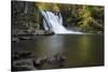 USA, Tennessee, Great Smoky Mountains National Park. Abrams Falls Landscape-Jaynes Gallery-Stretched Canvas