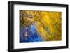 USA, Tennessee, Great Smoky Mountains National Park. Autumn reflections abstract-Ann Collins-Framed Photographic Print