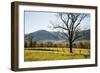 USA, Tennessee. Great Smoky Mountains National Park, Cades Cove Loop Road-Ann Collins-Framed Photographic Print