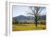 USA, Tennessee. Great Smoky Mountains National Park, Cades Cove Loop Road-Ann Collins-Framed Photographic Print