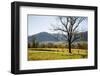 USA, Tennessee. Great Smoky Mountains National Park, Cades Cove Loop Road-Ann Collins-Framed Photographic Print