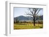 USA, Tennessee. Great Smoky Mountains National Park, Cades Cove Loop Road-Ann Collins-Framed Photographic Print