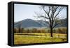 USA, Tennessee. Great Smoky Mountains National Park, Cades Cove Loop Road-Ann Collins-Framed Stretched Canvas