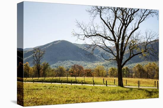 USA, Tennessee. Great Smoky Mountains National Park, Cades Cove Loop Road-Ann Collins-Stretched Canvas