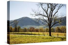 USA, Tennessee. Great Smoky Mountains National Park, Cades Cove Loop Road-Ann Collins-Stretched Canvas