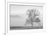 USA, Tennessee. Great Smoky Mountains National Park, Clearing fog in Cades Cove-Ann Collins-Framed Photographic Print