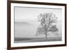 USA, Tennessee. Great Smoky Mountains National Park, Clearing fog in Cades Cove-Ann Collins-Framed Photographic Print