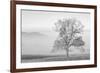 USA, Tennessee. Great Smoky Mountains National Park, Clearing fog in Cades Cove-Ann Collins-Framed Photographic Print