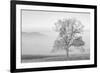 USA, Tennessee. Great Smoky Mountains National Park, Clearing fog in Cades Cove-Ann Collins-Framed Photographic Print