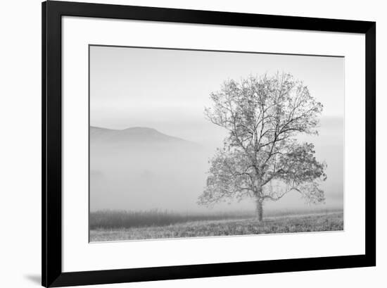 USA, Tennessee. Great Smoky Mountains National Park, Clearing fog in Cades Cove-Ann Collins-Framed Photographic Print