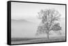 USA, Tennessee. Great Smoky Mountains National Park, Clearing fog in Cades Cove-Ann Collins-Framed Stretched Canvas