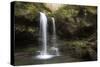 USA, Tennessee, Great Smoky Mountains National Park. Grotto Falls Scenic-Jaynes Gallery-Stretched Canvas