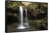 USA, Tennessee, Great Smoky Mountains National Park. Grotto Falls Scenic-Jaynes Gallery-Framed Stretched Canvas