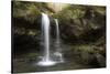 USA, Tennessee, Great Smoky Mountains National Park. Grotto Falls Scenic-Jaynes Gallery-Stretched Canvas