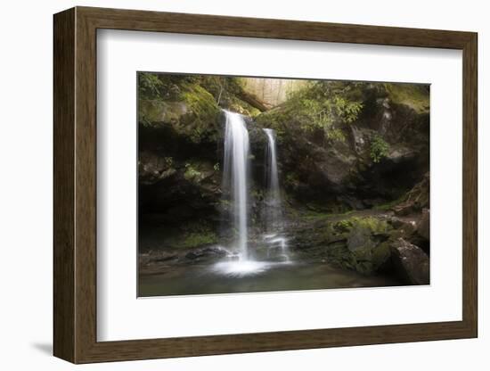 USA, Tennessee, Great Smoky Mountains National Park. Grotto Falls Scenic-Jaynes Gallery-Framed Photographic Print