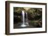 USA, Tennessee, Great Smoky Mountains National Park. Grotto Falls Scenic-Jaynes Gallery-Framed Photographic Print
