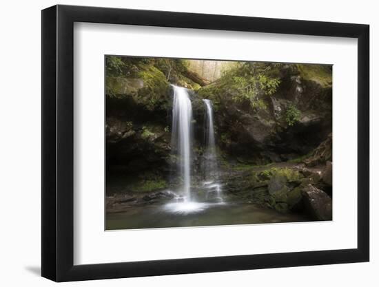 USA, Tennessee, Great Smoky Mountains National Park. Grotto Falls Scenic-Jaynes Gallery-Framed Photographic Print