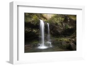 USA, Tennessee, Great Smoky Mountains National Park. Grotto Falls Scenic-Jaynes Gallery-Framed Photographic Print