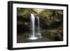 USA, Tennessee, Great Smoky Mountains National Park. Grotto Falls Scenic-Jaynes Gallery-Framed Photographic Print