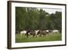 USA, Tennessee, Great Smoky Mountains National Park. Horses in Cade's Cove Pasture-Jaynes Gallery-Framed Photographic Print
