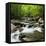 USA, Tennessee, Great Smoky Mountains National Park. Little Pigeon River at Greenbrier-Ann Collins-Framed Stretched Canvas