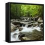 USA, Tennessee, Great Smoky Mountains National Park. Little Pigeon River at Greenbrier-Ann Collins-Framed Stretched Canvas