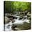 USA, Tennessee, Great Smoky Mountains National Park. Little Pigeon River at Greenbrier-Ann Collins-Stretched Canvas