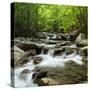 USA, Tennessee, Great Smoky Mountains National Park. Little Pigeon River at Greenbrier-Ann Collins-Stretched Canvas