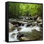 USA, Tennessee, Great Smoky Mountains National Park. Little Pigeon River at Greenbrier-Ann Collins-Framed Stretched Canvas