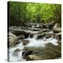 USA, Tennessee, Great Smoky Mountains National Park. Little Pigeon River at Greenbrier-Ann Collins-Stretched Canvas